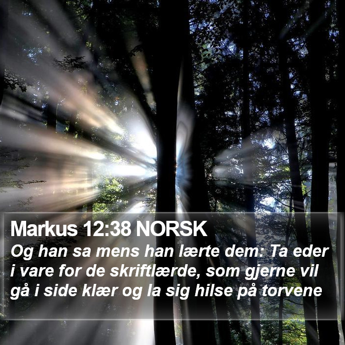 Markus 12:38 NORSK Bible Study