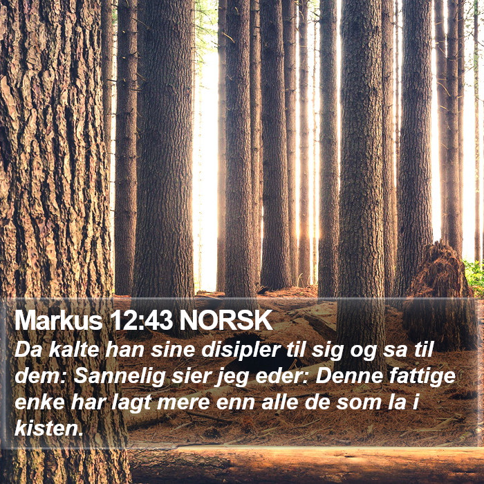 Markus 12:43 NORSK Bible Study