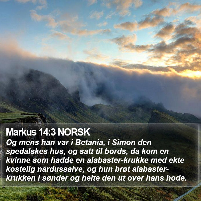 Markus 14:3 NORSK Bible Study