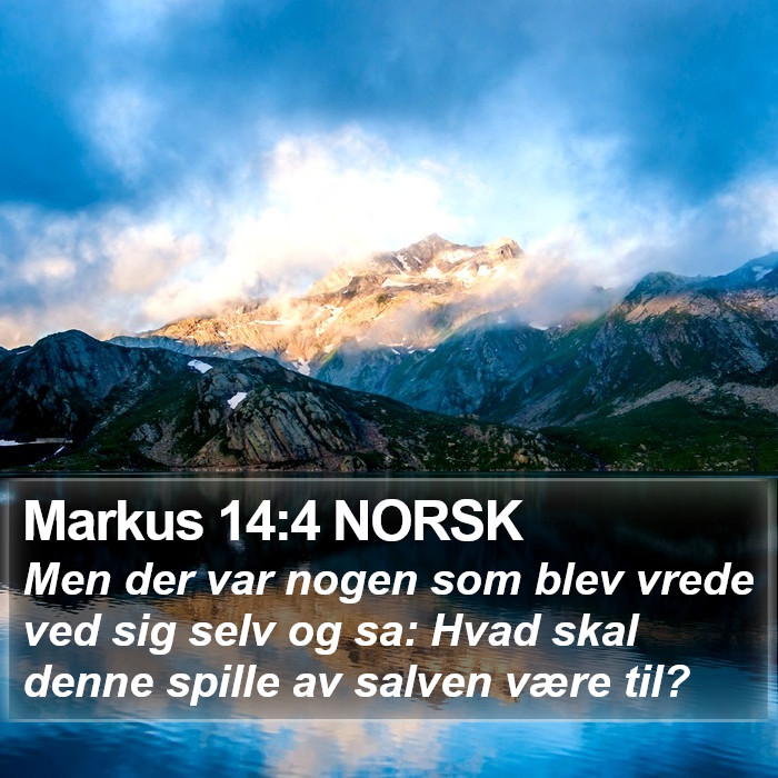 Markus 14:4 NORSK Bible Study