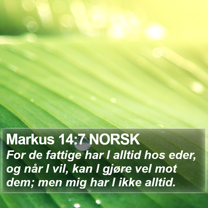 Markus 14:7 NORSK Bible Study