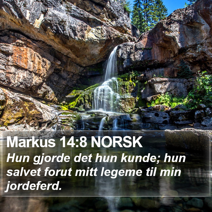 Markus 14:8 NORSK Bible Study