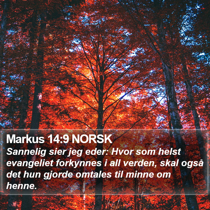 Markus 14:9 NORSK Bible Study