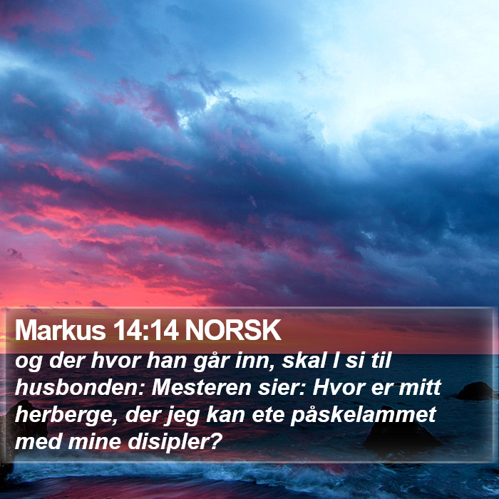 Markus 14:14 NORSK Bible Study