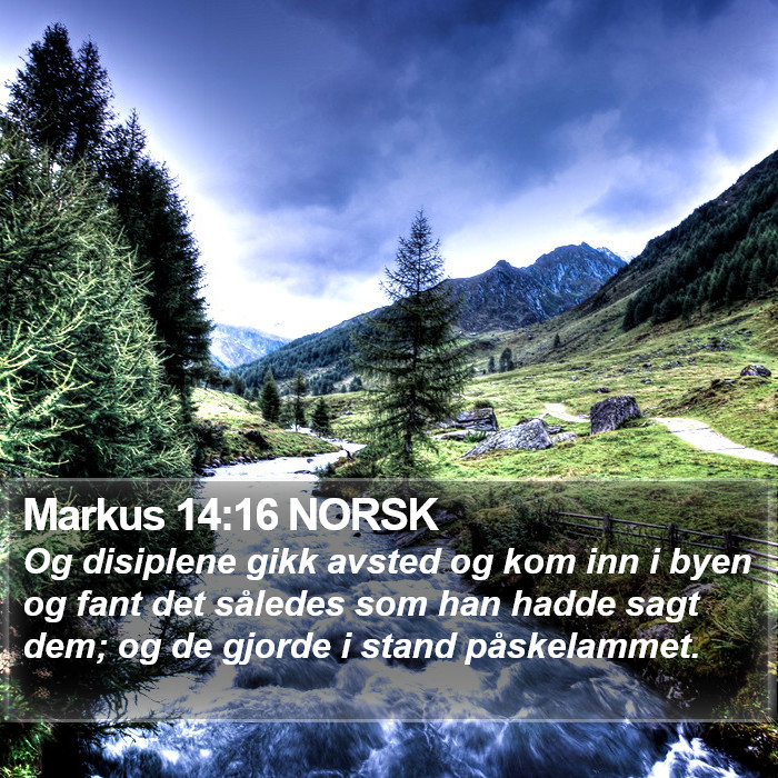 Markus 14:16 NORSK Bible Study