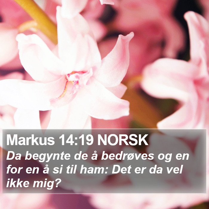 Markus 14:19 NORSK Bible Study