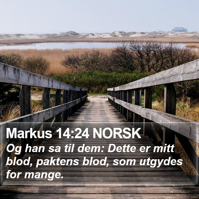 Markus 14:24 NORSK Bible Study