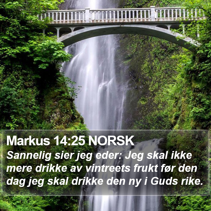 Markus 14:25 NORSK Bible Study