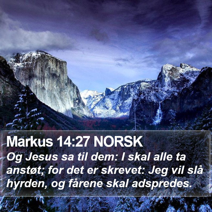Markus 14:27 NORSK Bible Study