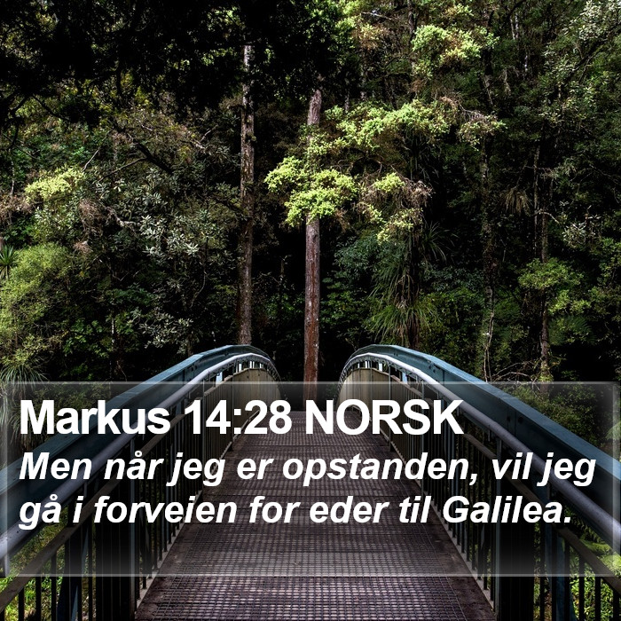 Markus 14:28 NORSK Bible Study