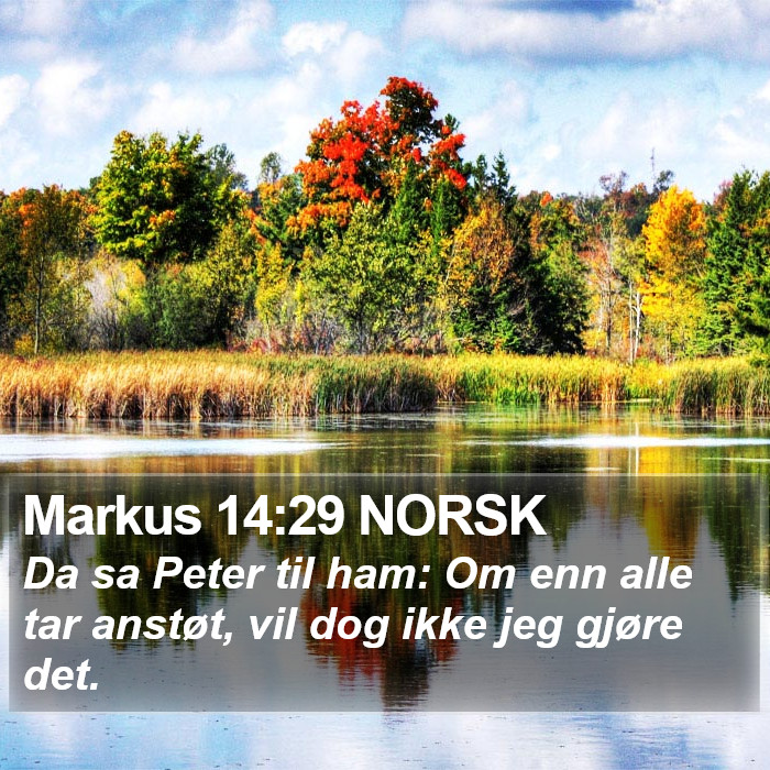Markus 14:29 NORSK Bible Study