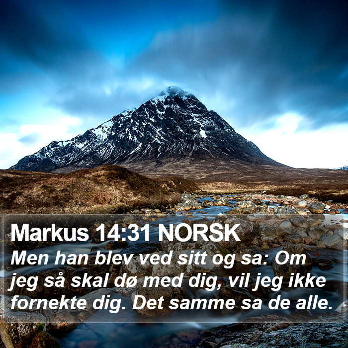Markus 14:31 NORSK Bible Study