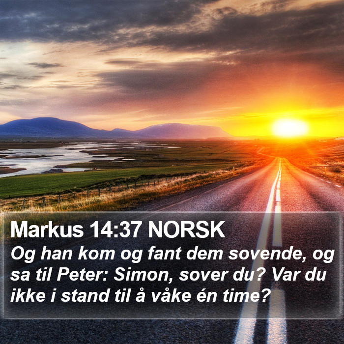 Markus 14:37 NORSK Bible Study