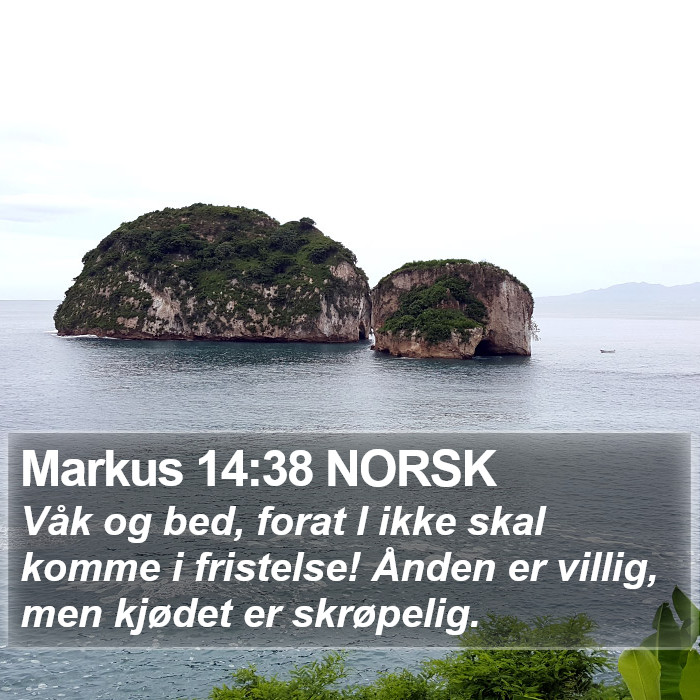 Markus 14:38 NORSK Bible Study