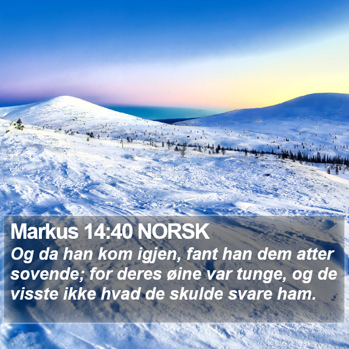 Markus 14:40 NORSK Bible Study