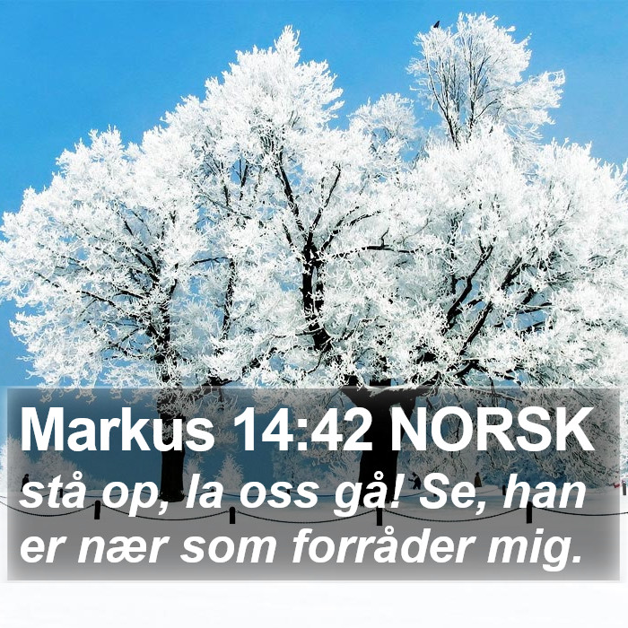 Markus 14:42 NORSK Bible Study