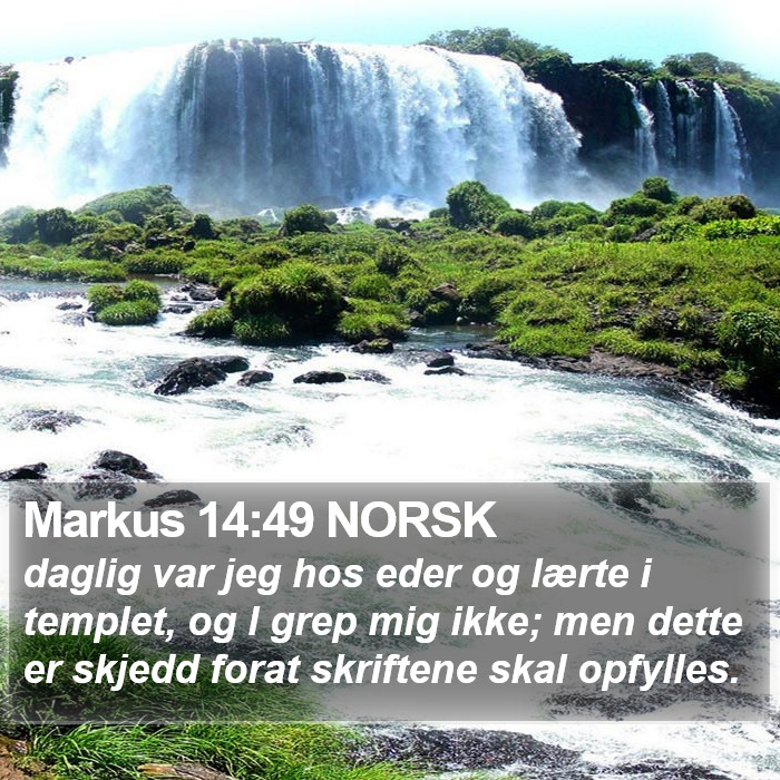 Markus 14:49 NORSK Bible Study