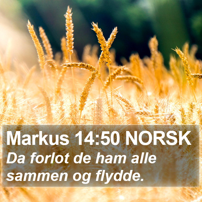 Markus 14:50 NORSK Bible Study
