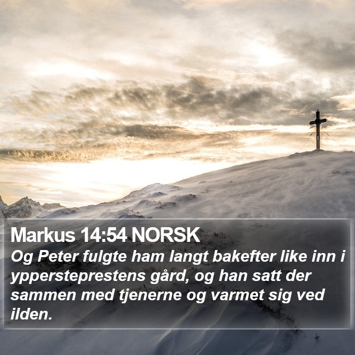 Markus 14:54 NORSK Bible Study