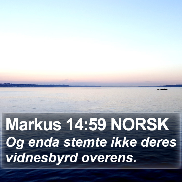 Markus 14:59 NORSK Bible Study
