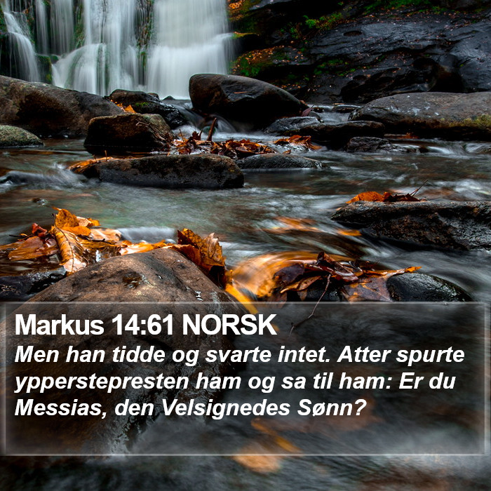 Markus 14:61 NORSK Bible Study