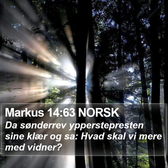Markus 14:63 NORSK Bible Study