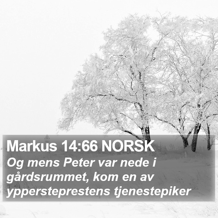 Markus 14:66 NORSK Bible Study