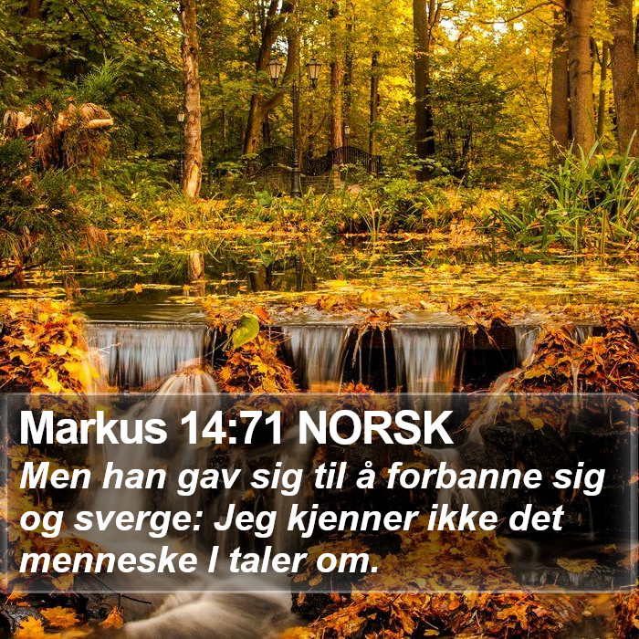 Markus 14:71 NORSK Bible Study
