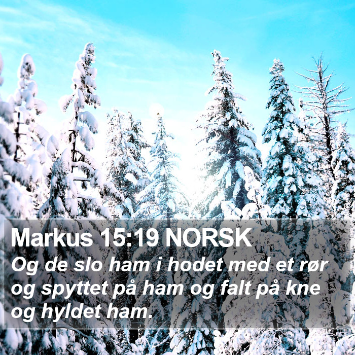 Markus 15:19 NORSK Bible Study