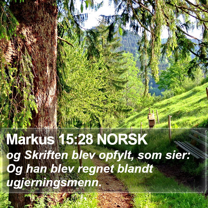 Markus 15:28 NORSK Bible Study