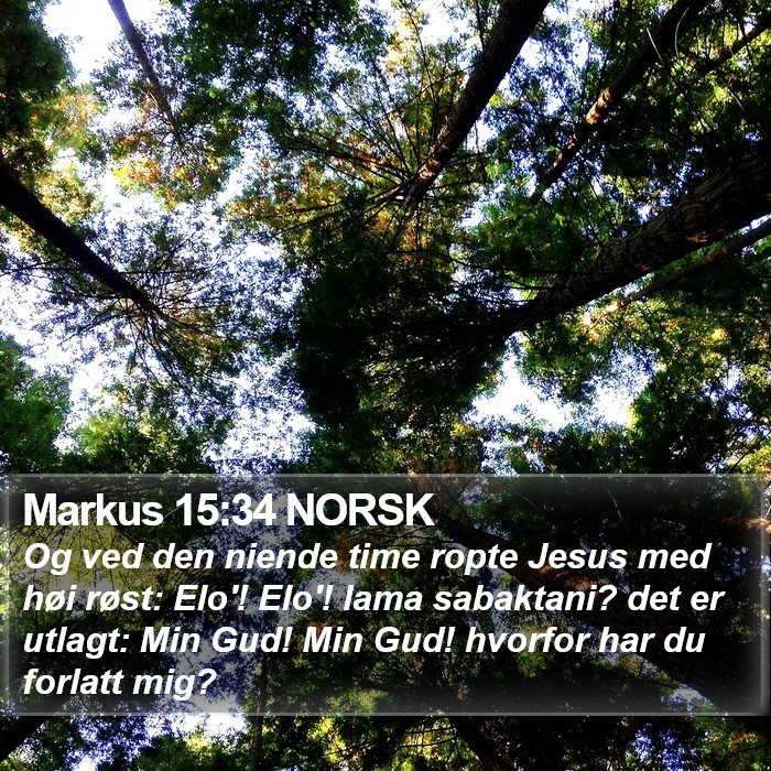 Markus 15:34 NORSK Bible Study