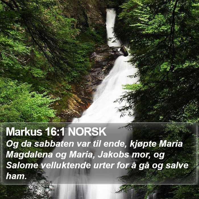 Markus 16:1 NORSK Bible Study