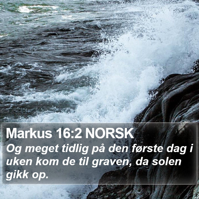 Markus 16:2 NORSK Bible Study