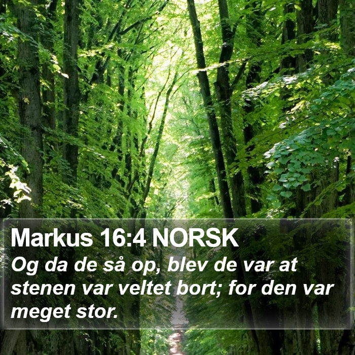 Markus 16:4 NORSK Bible Study