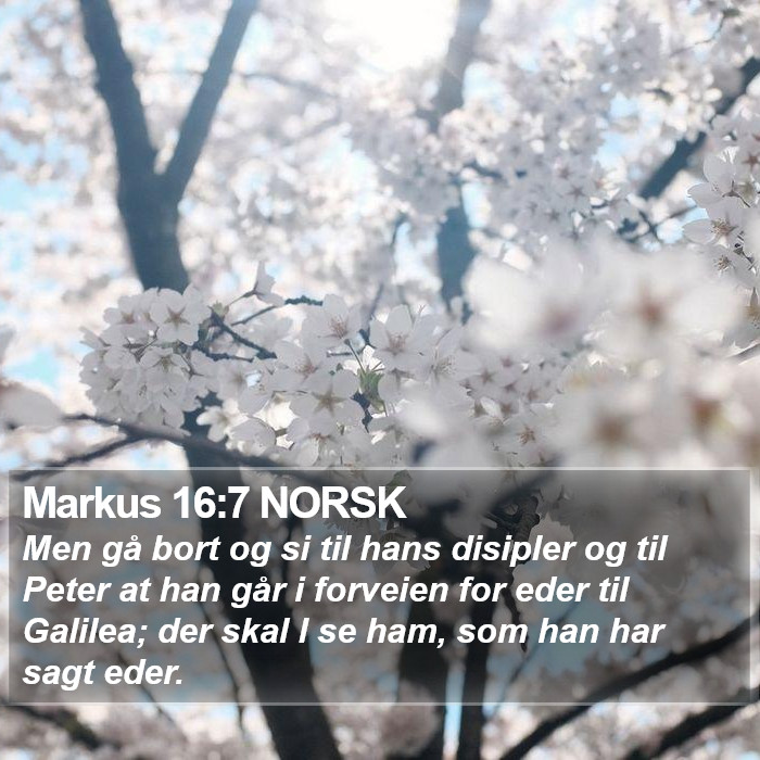 Markus 16:7 NORSK Bible Study