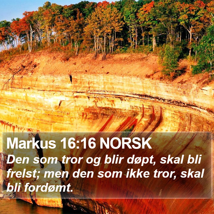 Markus 16:16 NORSK Bible Study