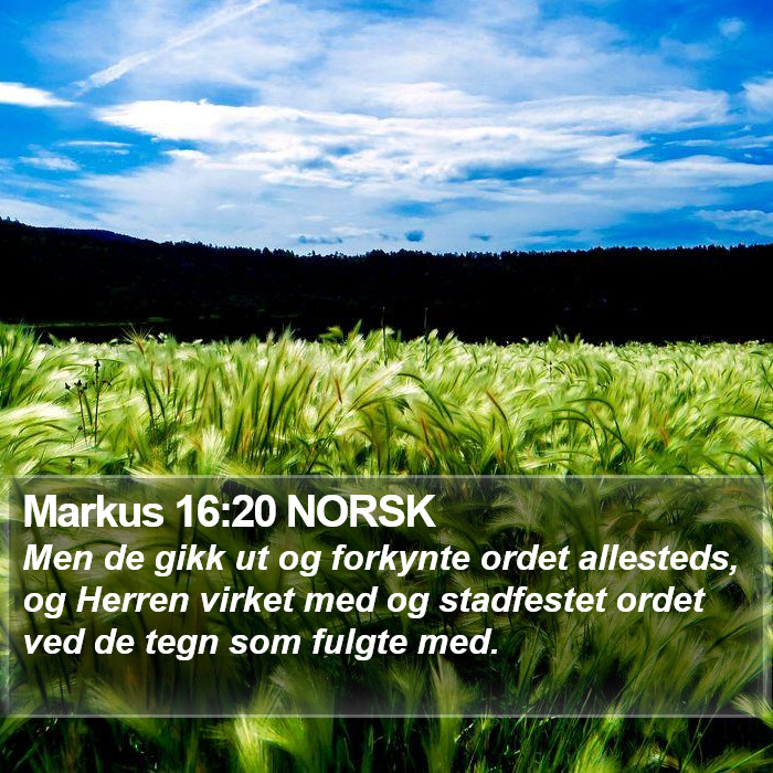 Markus 16:20 NORSK Bible Study