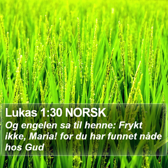 Lukas 1:30 NORSK Bible Study