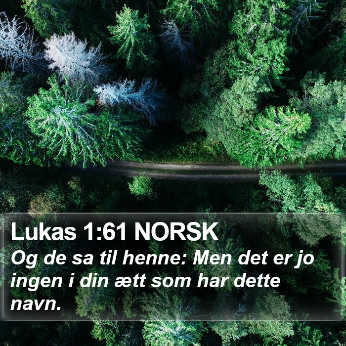 Lukas 1:61 NORSK Bible Study