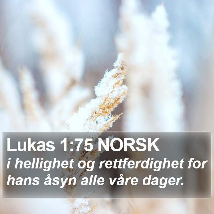 Lukas 1:75 NORSK Bible Study