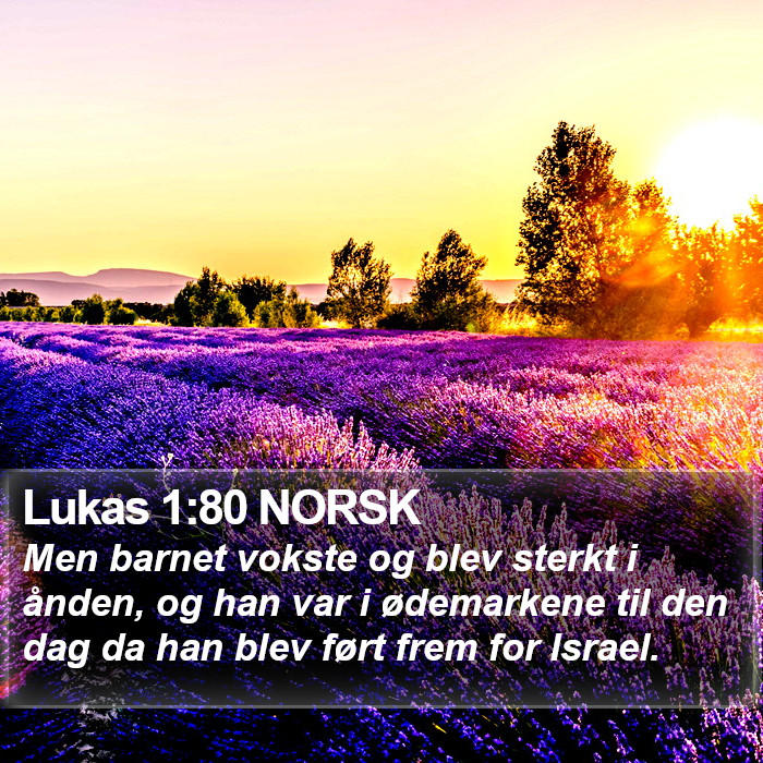 Lukas 1:80 NORSK Bible Study