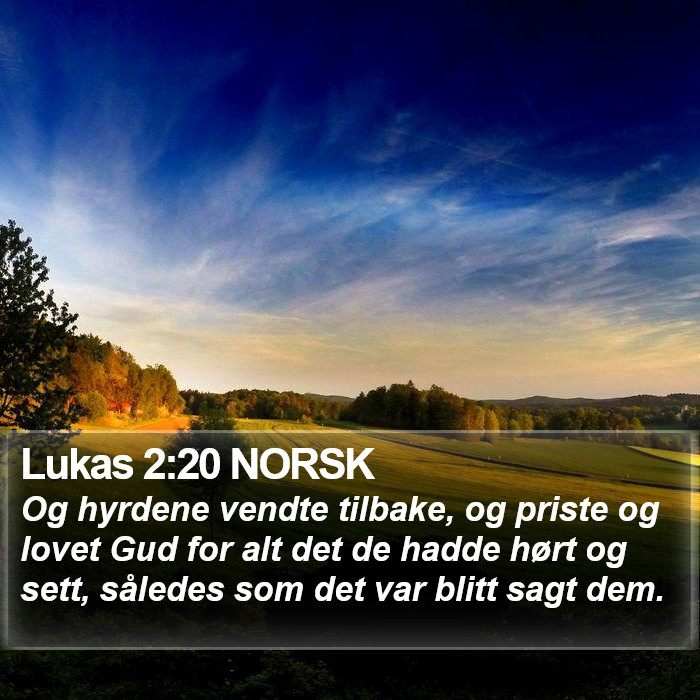 Lukas 2:20 NORSK Bible Study