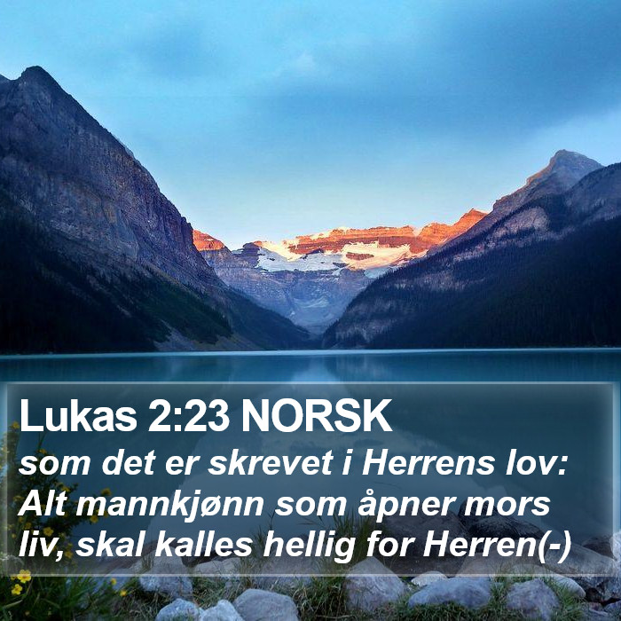 Lukas 2:23 NORSK Bible Study