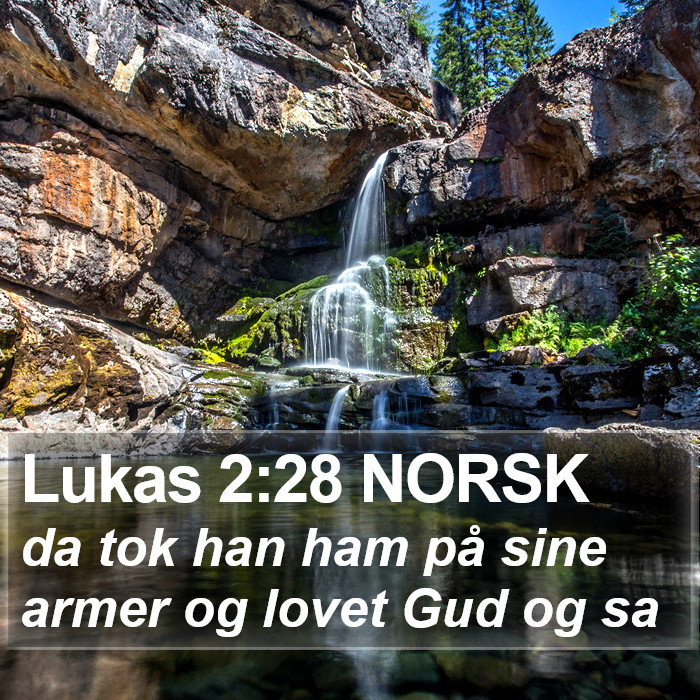 Lukas 2:28 NORSK Bible Study