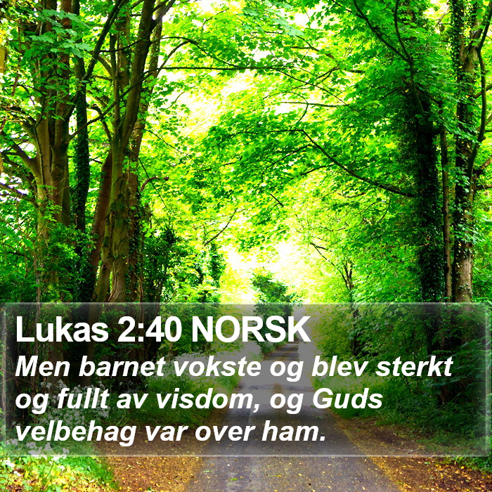 Lukas 2:40 NORSK Bible Study