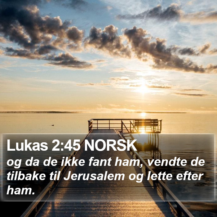 Lukas 2:45 NORSK Bible Study