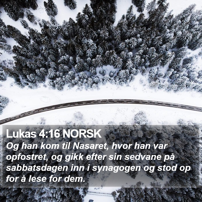 Lukas 4:16 NORSK Bible Study