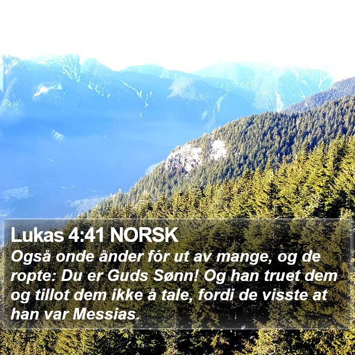 Lukas 4:41 NORSK Bible Study