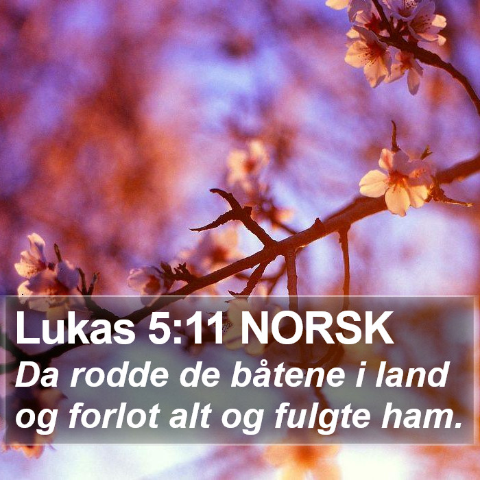 Lukas 5:11 NORSK Bible Study