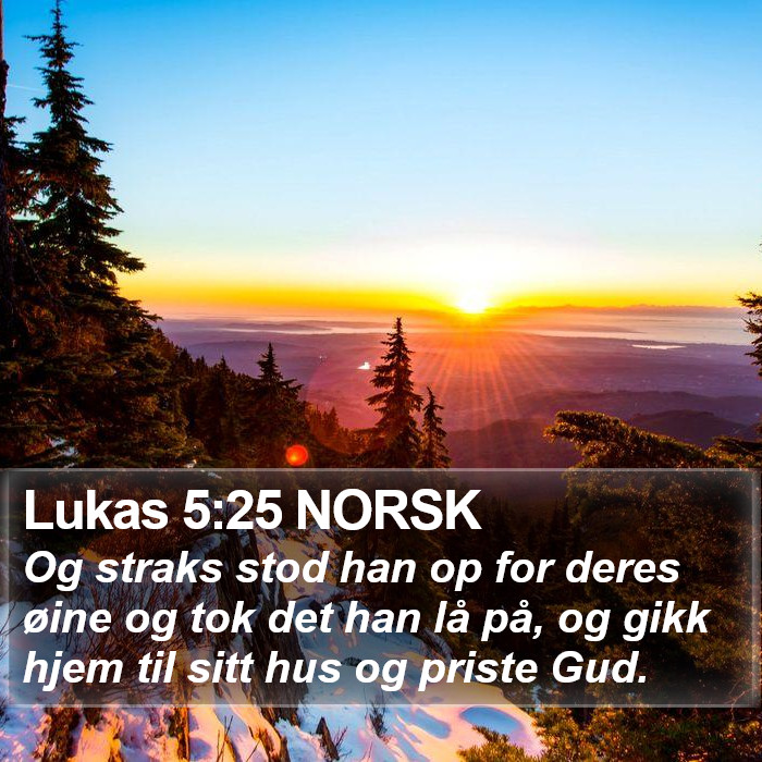 Lukas 5:25 NORSK Bible Study